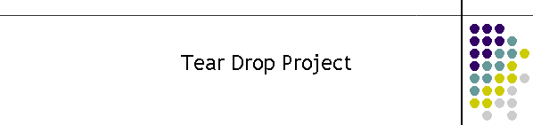 Tear Drop Project
